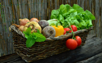 Hortalizas y verduras
